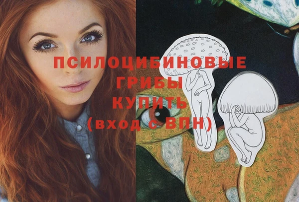 прущая мука Щёлкино